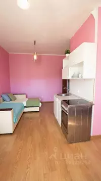 Студия Московская область, Щелково Богородский мкр, 17 (30.0 м)