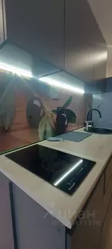 Студия Санкт-Петербург бул. Головнина, 4 (22.0 м)