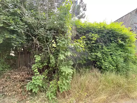 Дом в Воронежская область, Рамонский район, Айдаровское с/пос, ...