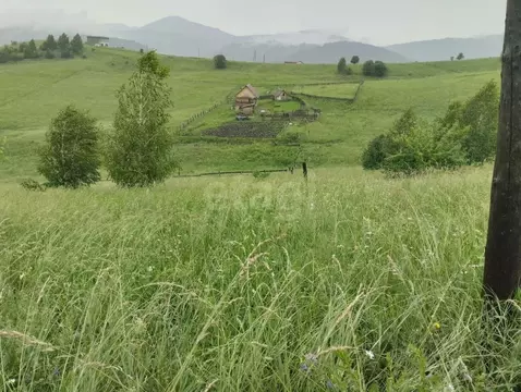 Участок в Алтай, Майминский район, с. Кызыл-Озек ул. С.С. Суразакова, ...