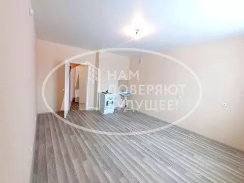 Студия Пермский край, Пермский муниципальный округ, пос. Красный ...