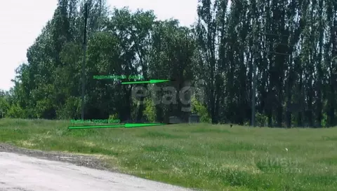 Участок в Воронежская область, Подгоренский район, Белогорьевское ...