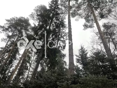 Участок в Московская область, Одинцовский городской округ, д. Бородки, ...