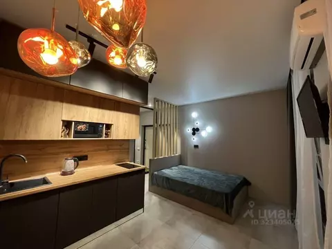 Студия Краснодарский край, Сочи ул. Ленина, 298В/1 (25.0 м)