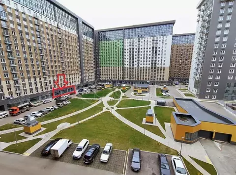 Торговая площадь в Москва Березовая аллея, 19к3 (240 м)