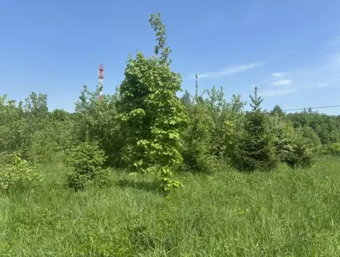 Участок в Московская область, Павлово-Посадский городской округ, д. ...