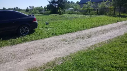 Участок в Вологодская область, Череповецкий район, д. Тютнево  (19.0 ...