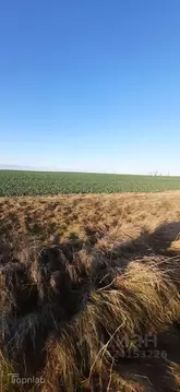 Участок в Калининградская область, Гвардейский муниципальный округ, ...