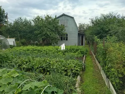 Продается дача в СНТ Меланжист-1