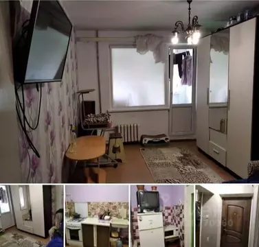 1-к кв. Севастополь просп. Октябрьской Революции, 40/1 (33.0 м)