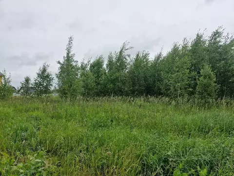Участок в Московская область, Ступино городской округ, д. Дубнево  ...