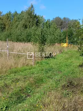 Участок в Костромская область, Судиславское с/пос, пос. Западный  ...