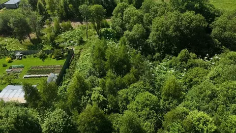 Участок в Московская область, Волоколамский муниципальный округ М-9 ...