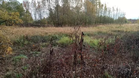 Участок в Московская область, Егорьевск муниципальный округ, д. ...