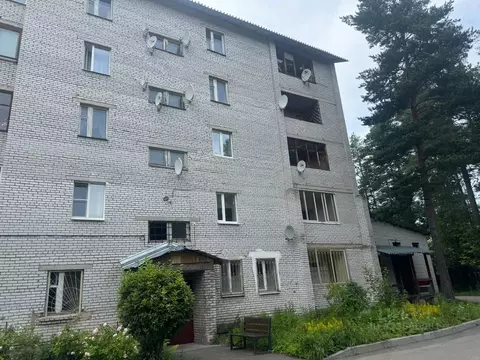 1-к кв. Ленинградская область, Гатчинский муниципальный округ, Вырица ...