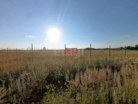 Участок в Воронежская область, Рамонский район, Новоживотинновское ...