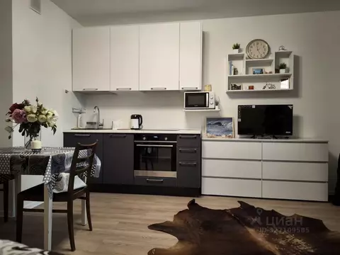 Студия Московская область, Люберцы городской округ, Жилино-1 пгт, 2-й ...