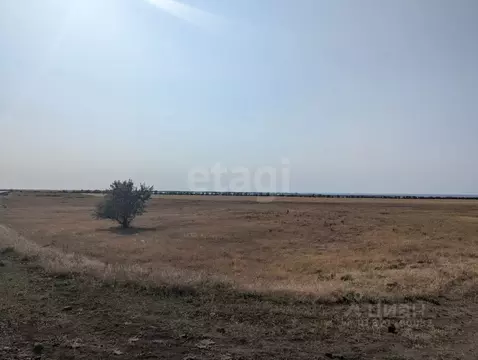 Участок в Крым, Черноморский район, с. Межводное  (100.0 сот.)