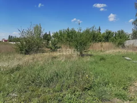 Участок в Воронежская область, с. Новая Усмань пер. Первомайский, 2 ...