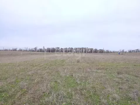 Участок в Крым, Симферопольский район, Николаевка пгт  (6.0 сот.)