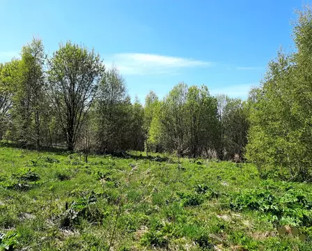 Участок в Московская область, Клин городской округ, д. Парфенькино  ...