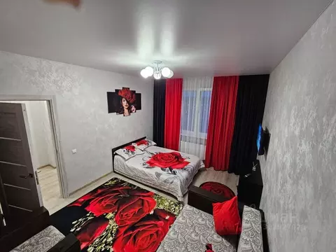 1-к кв. Московская область, Домодедово Южный мкр, ул. Курыжова, 13 ...