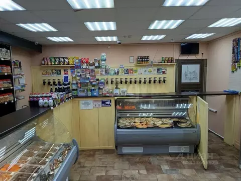 Торговая площадь в Мордовия, с. Старое Шайгово ул. Рабочая, 18 (50 м)