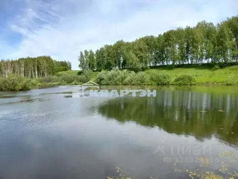 Участок в Новосибирская область, Новосибирск Пашино мкр, ул. ...