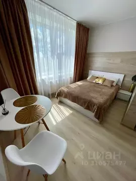 Студия Пермский край, Пермь ул. Архитектора Свиязева, 31 (28.0 м)