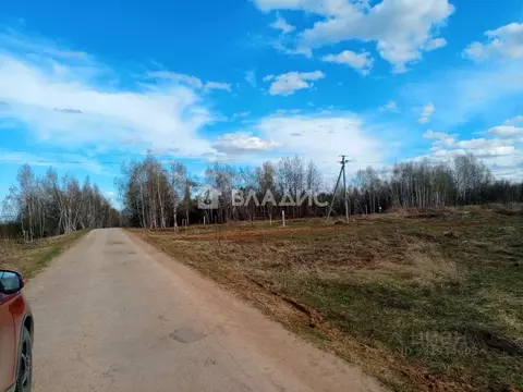 Участок в Нижегородская область, Богородский муниципальный округ, д. ...