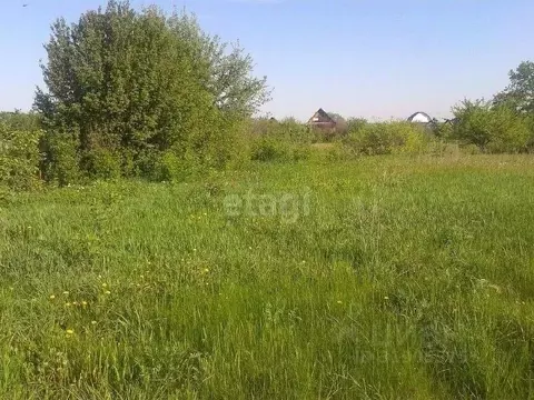 Участок в Саратовская область, Балашовский район, Пинеровское ...