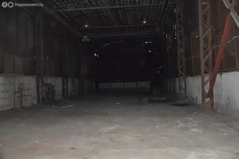 Помещение свободного назначения (300 м)