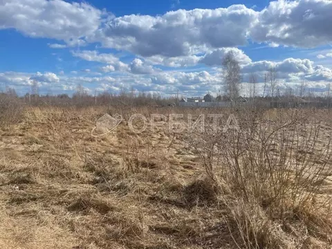 Участок в Тюменская область, Тюмень Царево садовое товарищество, ул. ...