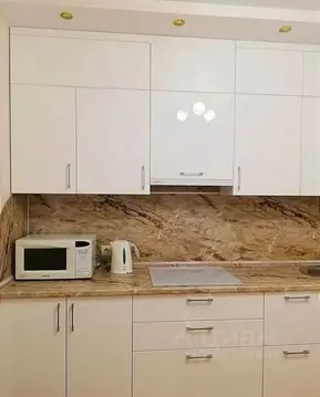 1-к кв. Нижегородская область, Нижний Новгород просп. Гагарина, 122 ...