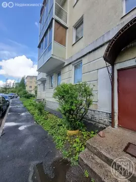 2-комнатная квартира: Пушкин, Гусарская улица, 8к5 (55 м)