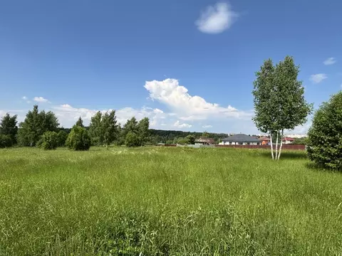 Участок в Московская область, Луховицы Луговая ул., 129 (11.46 сот.)