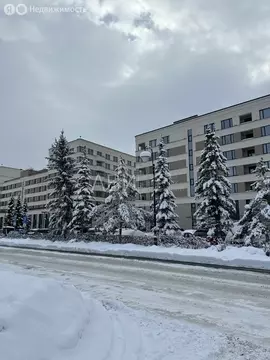 Помещение свободного назначения (60.73 м)