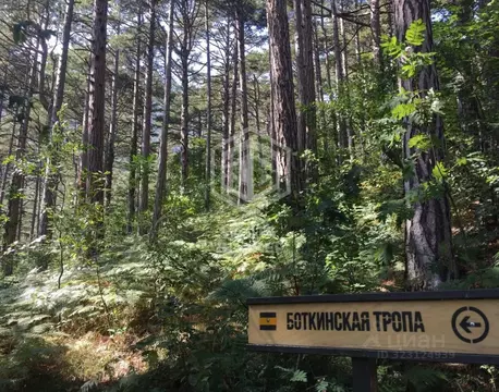 Участок в Крым, Ялта ул. Кирова (10.0 сот.)