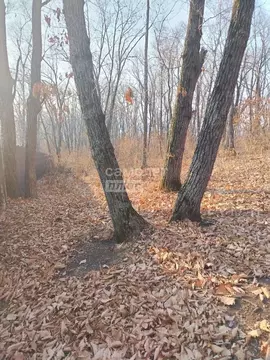 Участок в Приморский край, Владивосток Ломаная ул., 20 (11.85 сот.)