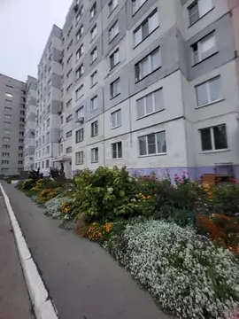 3-к кв. Алтайский край, Барнаул ул. Попова, 157 (65.0 м)