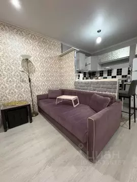 Студия Московская область, Домодедово Южный мкр, ул. Курыжова, 32 ...