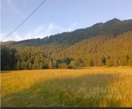 Участок в Алтай, Чемальский район, с. Турбаза Катунь ул. Романтиков, 1 ...