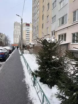 1-к кв. Санкт-Петербург пос. Парголово, ул. Первого Мая, 107к6 (45.0 ...