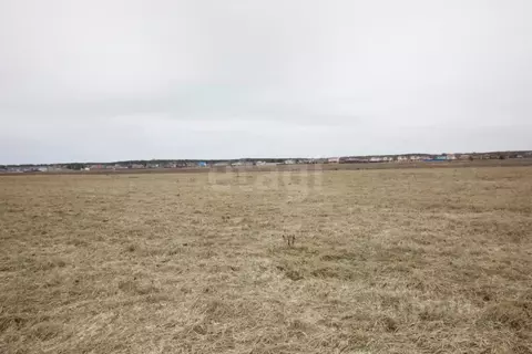 Участок в Калужская область, Дзержинский муниципальный округ, с. ...
