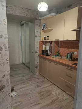 Студия Омская область, Омск Светловская ул., 12 (25.7 м)