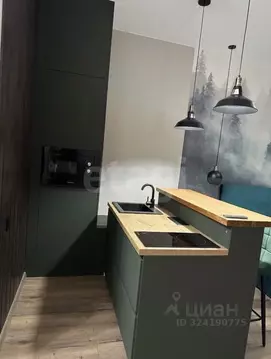 Студия Тюменская область, Тюмень ул. Сергея Свиридова, 7 (27.0 м)