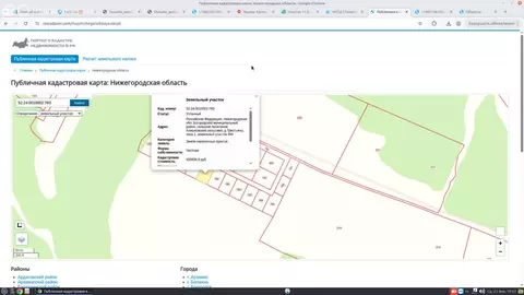 Участок в Нижегородская область, Богородский муниципальный округ, ...