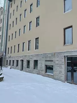 Помещение свободного назначения в Санкт-Петербург Днепропетровская ...