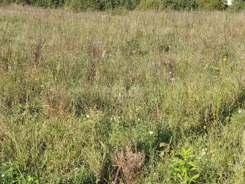 Участок в Калужская область, Калуга  (7.5 сот.)