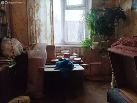 2-комнатная квартира: Миасс, улица Академика Павлова, 5 (50 м)